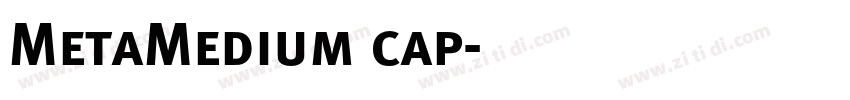 MetaMedium cap字体转换